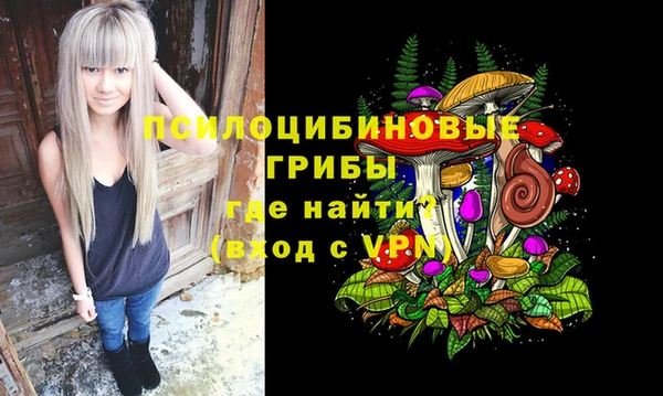 МДМА Белокуриха