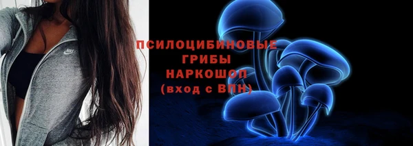 ECSTASY Беломорск